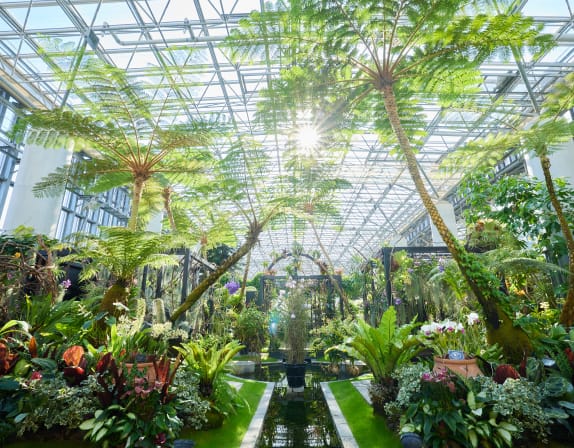 南国風の温室植物園の内部、光差し込む癒しの空間	